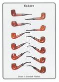 Set of 12