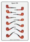 Set of 12
