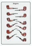 Set of 12
