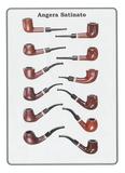 Set of 12